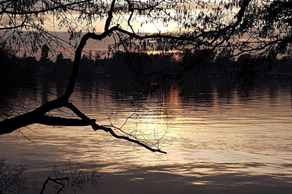 Dachwohnung Mit Wasserblick Und Eigenem Bootssteg ベルリン エクステリア 写真