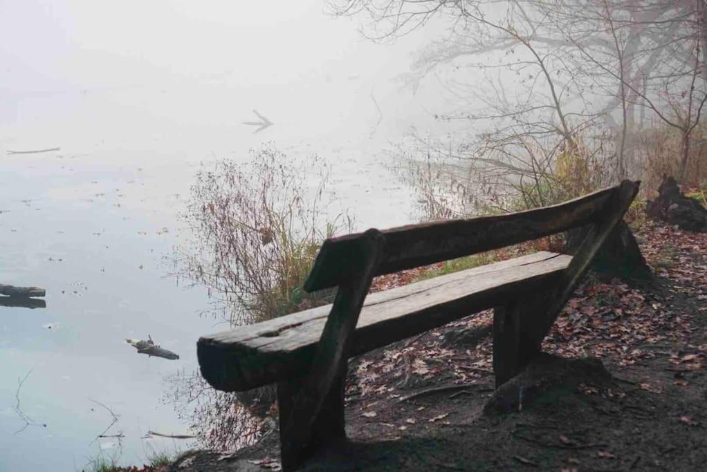 Dachwohnung Mit Wasserblick Und Eigenem Bootssteg ベルリン エクステリア 写真
